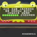 선관위 소나무 이미지