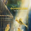 카나리아 이미지