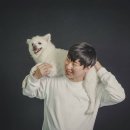주식회사 틀