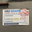 정성담은회 이미지