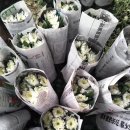 백선농장 이미지