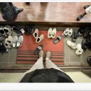 삼강약국 이미지