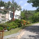 호수펜션 이미지