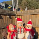 오블리&화이트펫 이미지