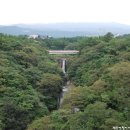 천제연폭포 이미지