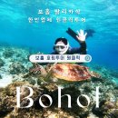 보홀 발리카삭 단독호핑투어 인생샷 아이랑 한인업체 원클릭투어