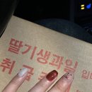 네일가니무드 이미지