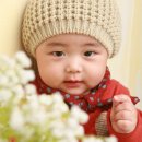 베이비필스튜디오(소풍스튜디오) Daum카페