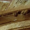 보이지 않는 것과 이미지