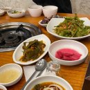 산농채1 네이버블로그