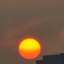 신선초등학교 이미지