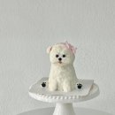 멈무푸드 이미지