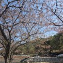 B32 | 적천정 별빛야영장 B32 후기