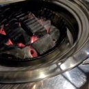 맘모스껍데기 이미지