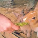 동남부화장 이미지