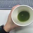 하나로농약 | 야근 많은 자취생 채소섭취 습관, 컬리케일분말 하나로 끝내는 그린쥬스 후기