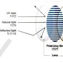 아름다운세상안경원 이미지