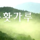 송화 이미지