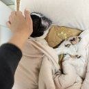 핑미핑미 인형뽑기 이미지