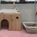 특별한 동물가게 광주점 이미지