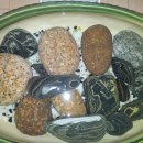 양양목장 이미지