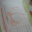 코끼리영재어린이집 이미지