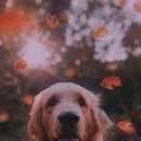 신안동물병원 이미지