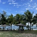 달팽이방갈로 이미지