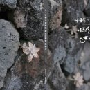 남원읍-4 이미지