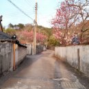 두량3리 이미지