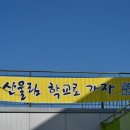 사진으로 보는 산울림픽 이미지