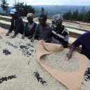 웅구농장 이미지