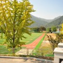 서화운동장 이미지