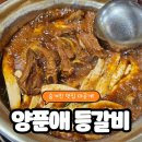 양푼애등갈비 | 안산맛집 송호먹자골목 양푼애등갈비 매운 등갈비찜 후기