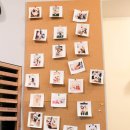 놀다가개 이미지