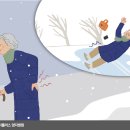 낙상 헬스조선