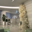 큐디 | 온다리프팅 내돈내산 후기｜강남 큐디의원 4만줄 진짜 대박미친효과;;