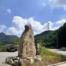 여름캠핑 횡성태기산별밤캠핑장 후기 (feat.물뱀 출현)