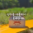 수과당 | [리뷰] 성수동 3대 디저트 맛집 호과당 포장 후기