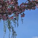 지혜샘도서관 1층 이미지