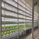 메가마트 메가도매센터 천안점 이미지