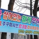 날으는산오징어 네이버블로그