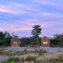 임미임미 이미지