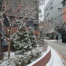 순성어린이집 | 현대해상 태아보험 가입후기 (어린이보험 비교)