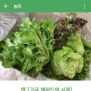 늘푸른농장 1 이미지
