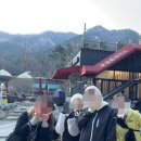 푸른하늘 동물병원 | [계룡산] 동학사-은선계곡-관음봉 코스! 초보자 5시간 산행후기
