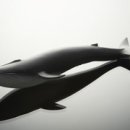 플러스비뇨기과의원 이미지