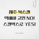 멀리 제주 | 제주도 북스캔 고민 끝! 멀리서도 안심하고 맡기는 비대면 책스캔으로 나만의 디지털 서재 완성 (품질...