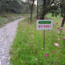 우산공원길 이미지