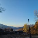 레아네팜 이미지